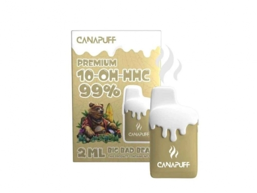 Big Bad Bear 99% 10-OH-HHC - Canapuff - Disposable 2ml