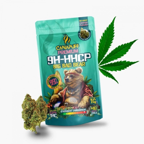 9H-HHCP Big Bad Bear Flowers 99% - Canapuff 1g