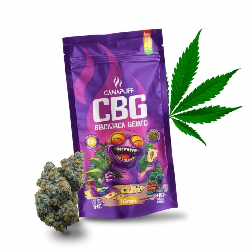 CBG Flowers: Blackjack Gelato 69%