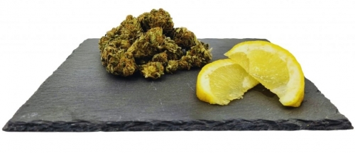 Lemon Haze CBD Weight: 1g