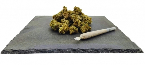 Amnesia Haze CBD Weight: 1g