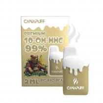 Big Bad Bear 99% 10-OH-HHC - Canapuff - Disposable 2ml